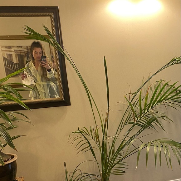 Meet your Posher, Lauren - Picture 1 of 1